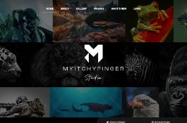 WordPress Website for NFT & Digital Arts